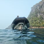 Snorkelling at Gorgonian Passage, Misool, Raja Ampat, October 2026