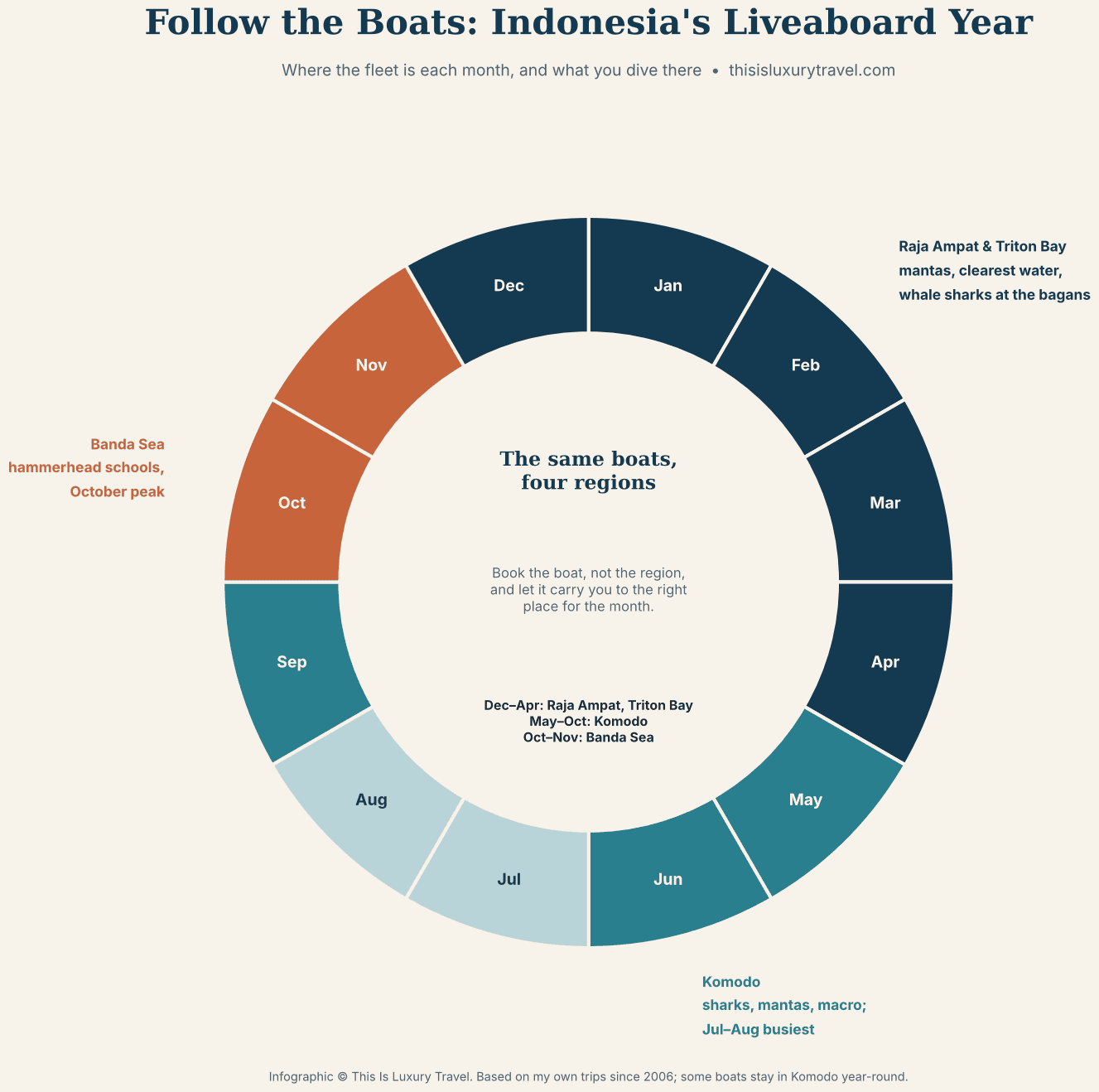 Follow the boats: Indonesia's liveaboard year, with the fleet in Raja Ampat and Triton Bay from December to April, Komodo from May to October and the Banda Sea in October and November