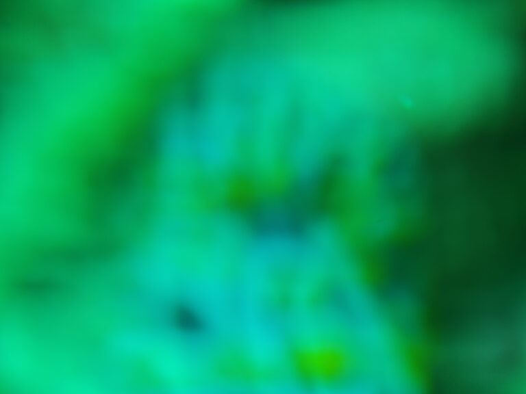 Heavily out-of-focus green and blue reef frame at Magic Mountain, Raja Ampat