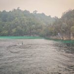 Snorkellers in a green lagoon in Misool