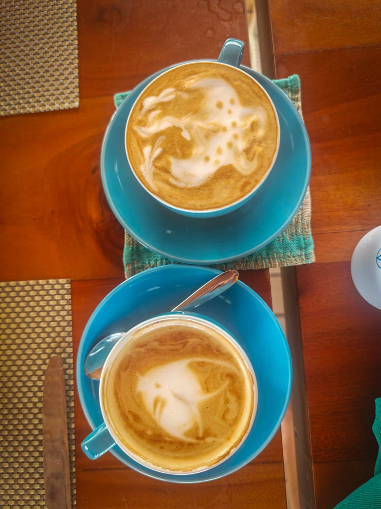 Two cappuccinos at breakfast on Scubaspa Zen