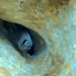 Diving at Suanggi in the Banda Sea, October 2026