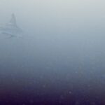 Diving at Suanggi in the Banda Sea, October 2026