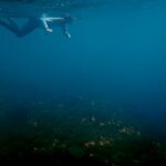 Snorkelling with manta rays at Tank Rock, Misool, Raja Ampat, October 2026
