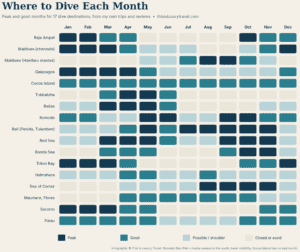 Where to dive each month: calendar of peak and good months for 17 dive destinations, from Raja Ampat to Socorro and Palau