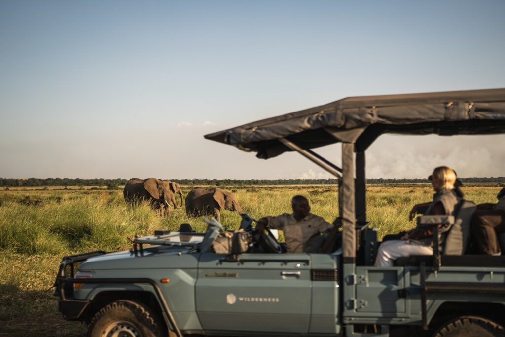 Game drive with elephants from Wilderness Mara, Kenya